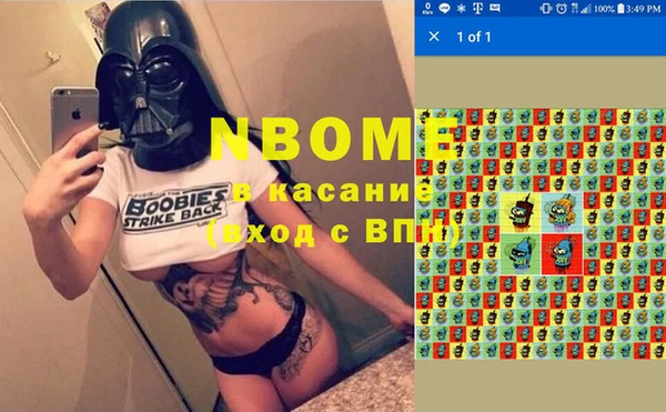 сатива Волосово