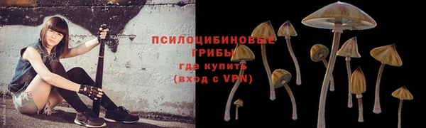 прущая мука Володарск