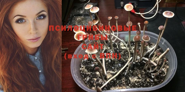а пвп мука Волоколамск